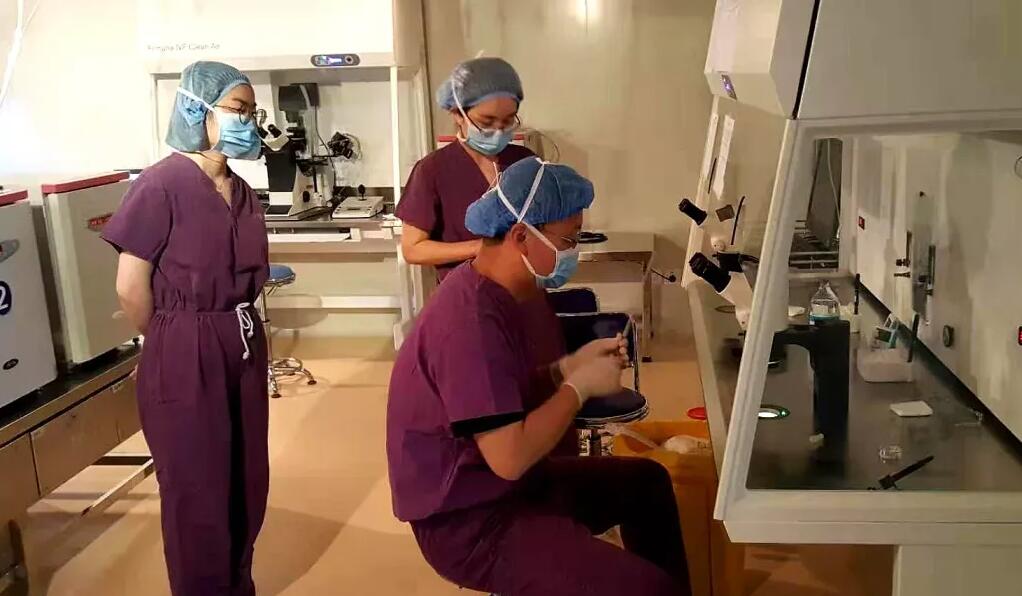 導致試管嬰兒胚胎不著床的原因有哪些？