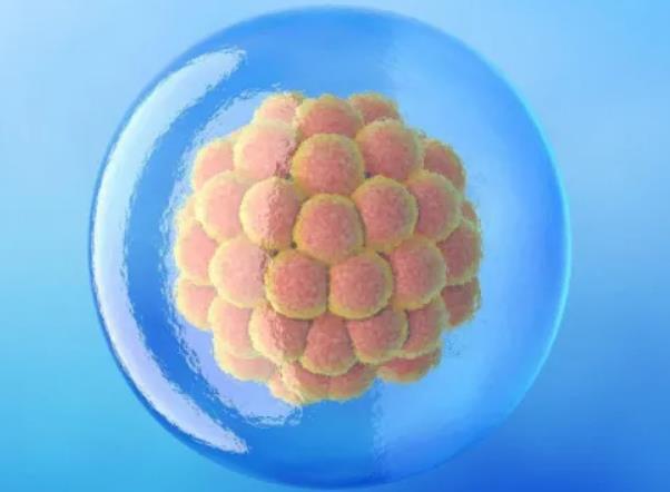 深圳試管可以做雙胞胎嗎 試管嬰兒費用高不高??？檢查是少精