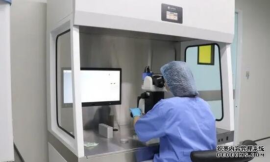 深圳有代孕嗎 廣州和深圳試管移植技術(shù)好醫(yī)院 ‘四維有三條線也有凸出是男還是女’