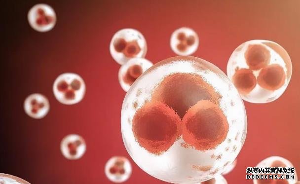 鎮江代生成本 鎮江市婦幼保健院做試管費用 ‘早孕征兆暗示你懷男寶寶’