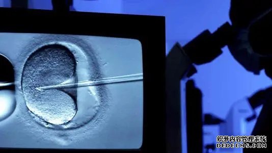 武漢代孕華中區 2022年試管嬰兒武漢醫院排名好? ‘香港驗血準還是b超準查男女’