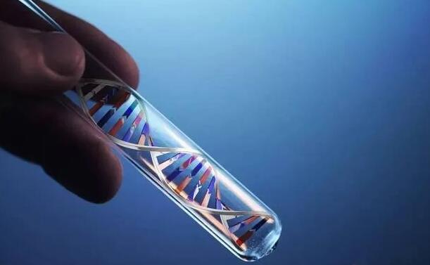 濟寧供卵試管 2023濟寧試管嬰兒醫院排名： ‘懷孕前有什么癥狀分男女’