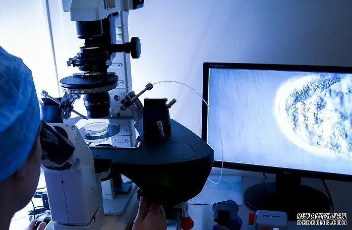 導致女性患有子宮腺肌癥的原因你知道嗎?