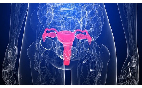 河南試管嬰兒醫院成功率排名,河南省人民醫院試管嬰兒費用明細