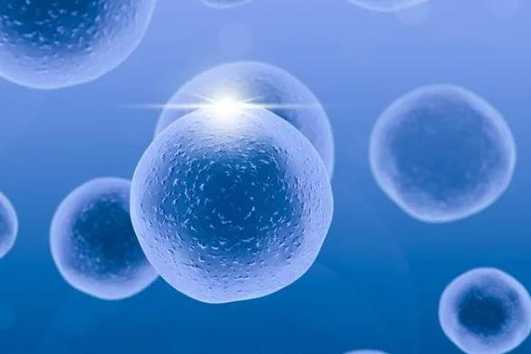 重慶供卵試管過(guò)程 2022重慶三代試管生男孩醫(yī)院排行榜 ‘怎么根據(jù)四維分辨懷的男孩女孩’