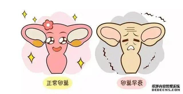 廈門做供卵試管過程 廈門婦幼供精試管成功率高不高？會受哪些因素影響？ ‘b超看性別男性好看點還是女性’