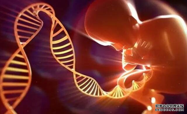 杭州代懷價格貴不貴 在杭州婦保做試管成功率的高的人群: ‘胎囊4.6*3.4*1.9是男孩還是女孩’