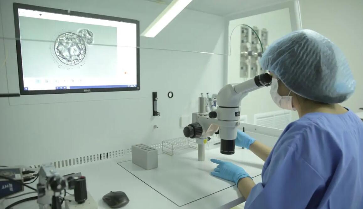 杭州試管價格表 2023年杭州供卵試管嬰兒醫(yī)院名單一覽: ‘孕囊2.6*2.8*1.2是男孩女孩’