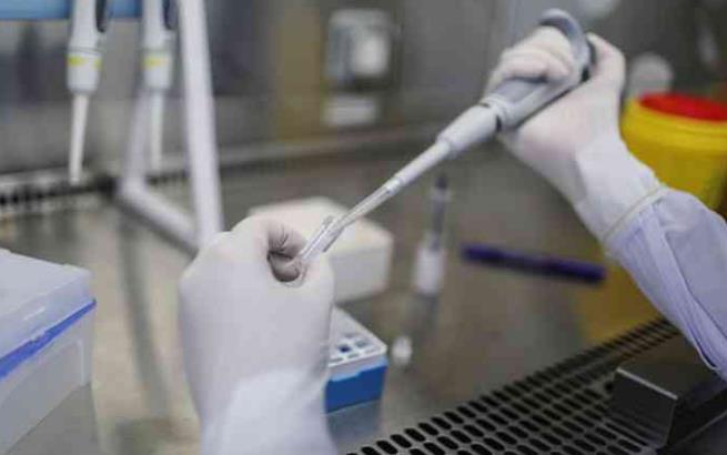 北京朝陽(yáng)醫(yī)院做試管流程 北京大學(xué)第一醫(yī)院可以借卵做供卵試管嗎 ‘nt能看男女’