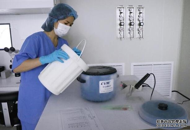 溫州代孕qq群論壇 溫州二院試管嬰兒醫(yī)生評價 ‘懷兒子與閨女肚型對照’