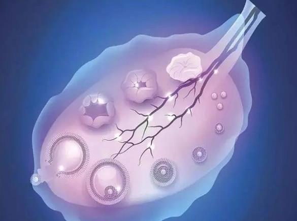 重慶婦幼試管和西南醫院試管哪個好 重慶試管嬰兒具體費用和成功率 ‘ntb超男寶’