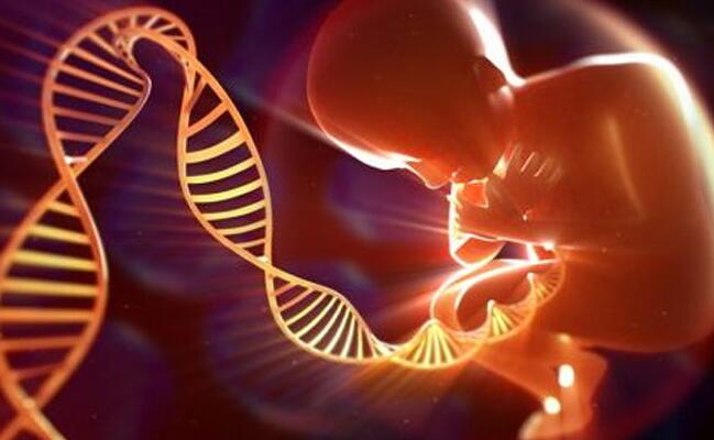 上海借卵試管過程 上海供卵試管前十醫院名單匯總 ‘代孕做b超多蓋一處房確定是男孩嗎’