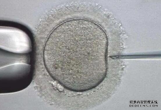 北京做試管代懷 北京婦幼保健院試管嬰兒費用北京試管嬰兒費用多少 ‘香港驗血準還是b超準查男女’