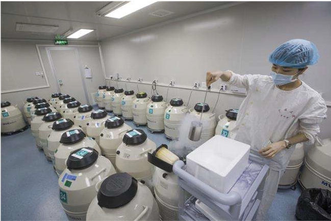 南陽有幾家做試管嬰兒的?選擇試管嬰兒醫院標準是什