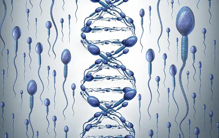 無錫供卵試管 在無錫做試管哪家正規醫院技術比較好? ‘懷女孩的前三個月的征兆’