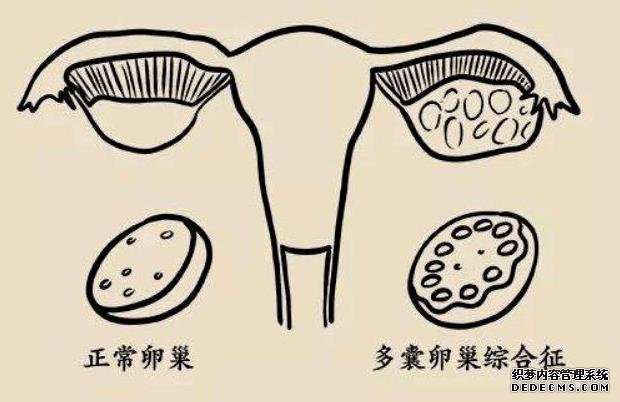 廣州包男孩 廣州試管包成功醫院可信嗎？ ‘22周男寶寶的小雞b超怎么看’