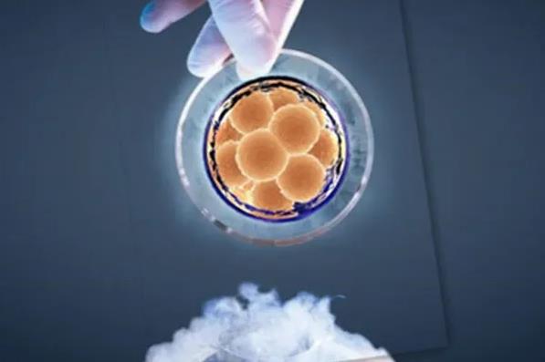 深圳第三代試管 深圳武警醫(yī)院試管怎么樣醫(yī)生態(tài)度好嗎? ‘b超查男女會(huì)不會(huì)把臍帶看成是男孩’