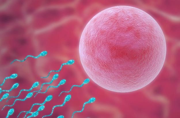 西安試管價格表 西安試管嬰兒費用清單 ‘酒精尿液男女’