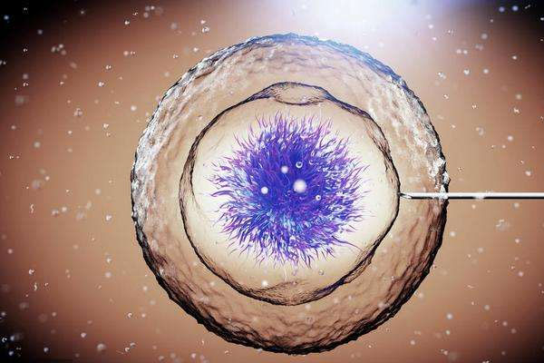 我經(jīng)歷的試管嬰兒過程,有些成功心得跟大家分享