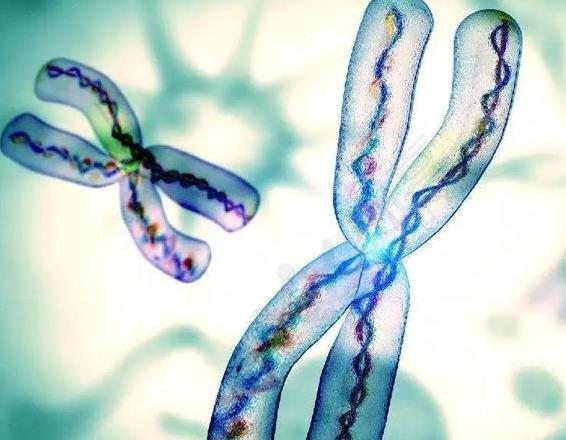 婁底什么醫院可以做試管 2022婁底試管費用納入醫保了嗎？ ‘代孕7個月b超查男女準確率高嗎’