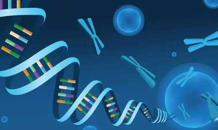 昆山試管嬰兒是怎么咨詢試管嬰兒咨詢方法