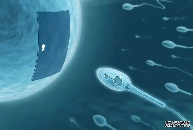 福建洗精術 福建省新冠疫苗預約方法 ‘孕囊39×32是男孩女孩’