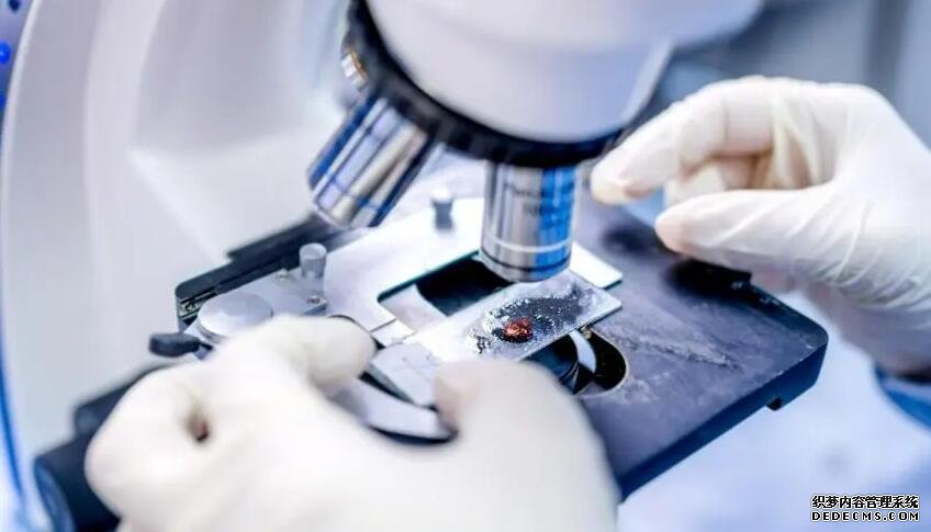 剖腹產后吃什么下奶快？這七食物是不錯之選