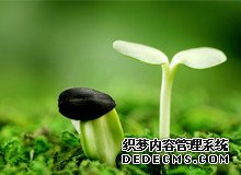 取卵26個對卵泡質量會有什么影響嗎？