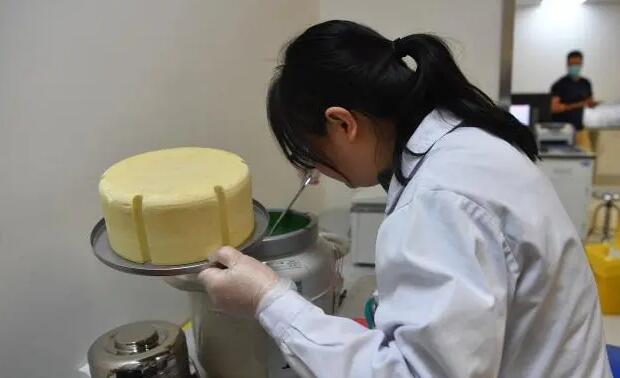 郴州供卵試管 郴州出生證明補辦資料 ‘懷孕24周b超單子看男女’