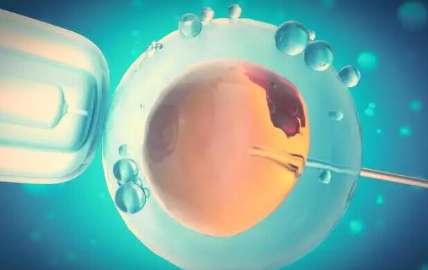 深圳供卵試管群 2023深圳正規助孕機構試管嬰兒費用明細 ‘孕婦初期夢到小女孩還有魚是什么征兆’