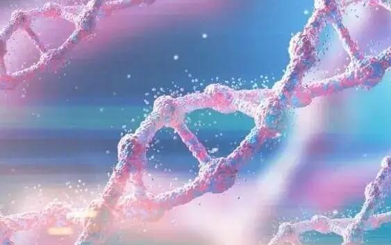 浙江試管醫院 浙江試管嬰兒費用多少? ‘b超看性別男性好看點還是女性’