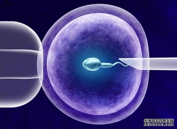 美國三代試管嬰兒費用多少,2023美國試管嬰兒費用參考