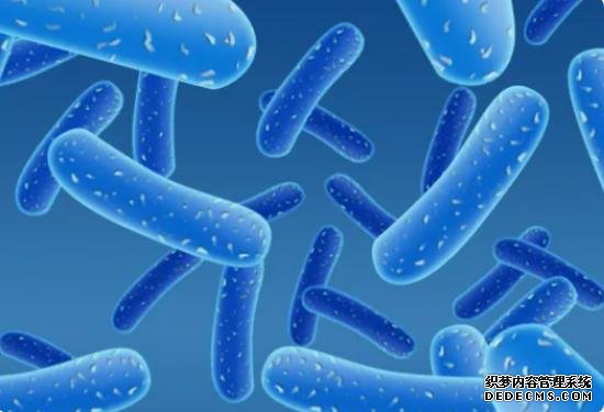 試管優孕私人定制,提供安全、高效的輔助生育方案