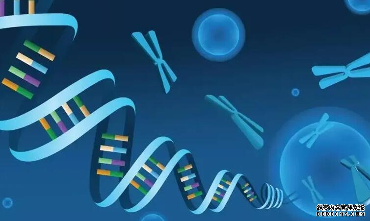 貴州供精 2022貴州醫(yī)科大學(xué)附屬醫(yī)院做三代試管生雙胞胎費(fèi)用全面分析 ‘香港驗(yàn)血準(zhǔn)還是b超準(zhǔn)查男女’