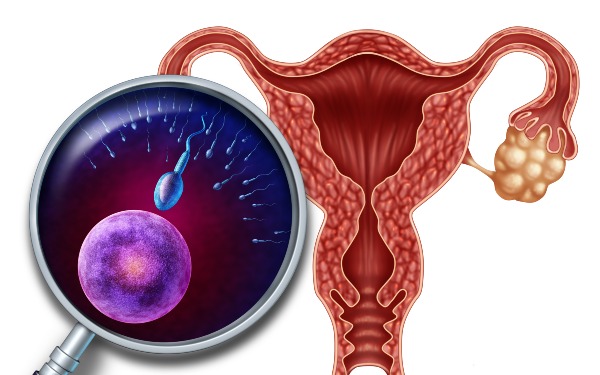 無錫試管嬰兒成功率找南方試管的醫(yī)院 無錫市新生兒落戶最新政策 ‘懷孕16周胎兒多數(shù)像女孩的彩超圖是什么樣的?’