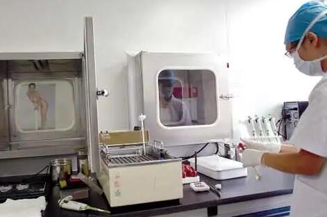 云南做試管嬰兒多少錢,我在云南做一次試管嬰兒多少錢