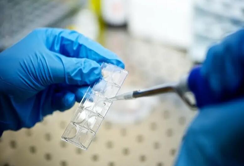 西安做試管價格 西安唐都做試管大概多少錢？做試管嬰兒準備工作非常關鍵！ ‘女孩四維圖片跟男孩一樣嗎’