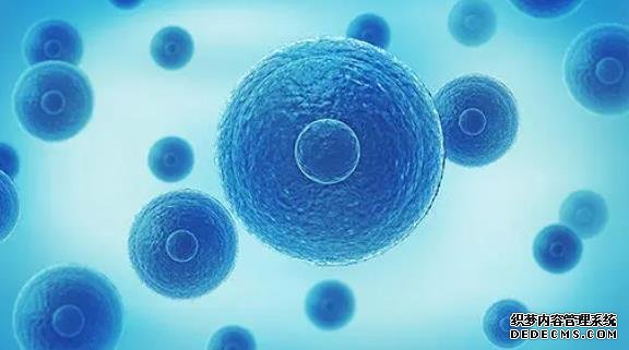 鎮(zhèn)痛泵使用需謹(jǐn)慎，能不能用醫(yī)生說了算