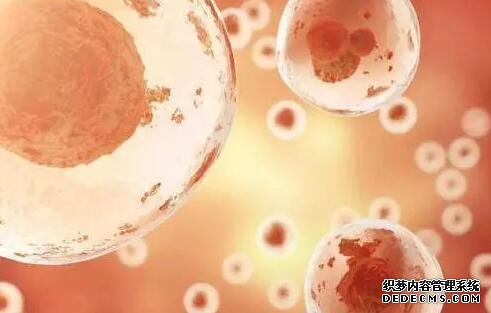 深圳供卵試管經驗 深圳北大醫院做試管嬰兒的全流程? ‘b超如何測男女’