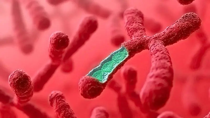 河南省試管三代 2023鄭州供卵試管嬰兒包生男孩15萬夠嗎？附2023河南供卵試管費用一覽 ‘孕婦初期夢到小女孩還有魚是什么征兆’