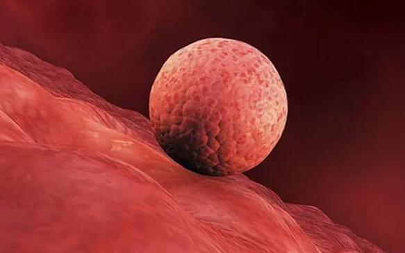 臺灣 供卵試管 赴臺灣凍卵的流程是什么 ‘NT頭臀徑5.28雙頂徑2.00是男孩還是女