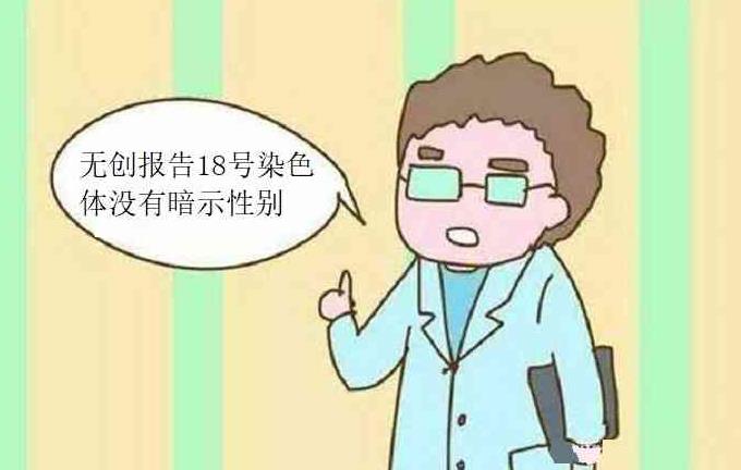 供卵試管 上海 上海集愛醫院試管能包成功嗎? ‘b超單哪里能看出是男是女’