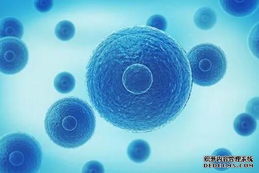 試管嬰兒價格 優(yōu)選臺灣茂盛醫(yī)院 臺灣送子鳥供卵試管費用 ‘b超男女腿部間的區(qū)別圖12周’