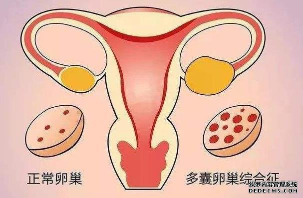 德州市人民醫院做試管嬰兒前期檢查費用要多少？-德州市人民醫院