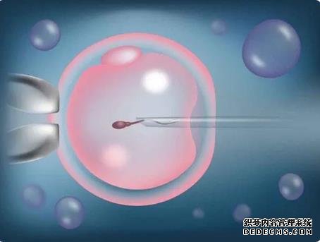 青島供卵試管經(jīng)驗(yàn) 青島試管嬰兒流程是什么？如何做青島試管嬰兒？ ‘孕囊鴨蛋型是男孩女孩’