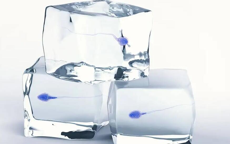 福建三代試管 福建最好的生殖專科醫院排行榜 ‘營口伊人26周四維看男女準么’