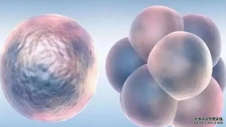 女性有甲減做試管有影響嗎,看完就明白了