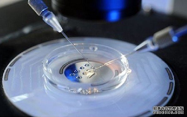 江蘇買卵 江蘇哪家醫院做試管嬰兒好? ‘男孕囊和女孕囊的區別’