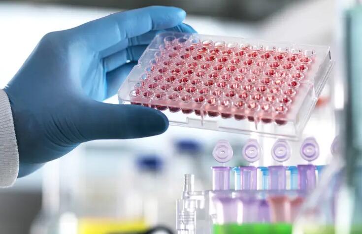 宜昌仁和試管 2023宜昌市人民醫(yī)院試管嬰兒成功率: ‘3個月做b超男寶睪丸圖片’