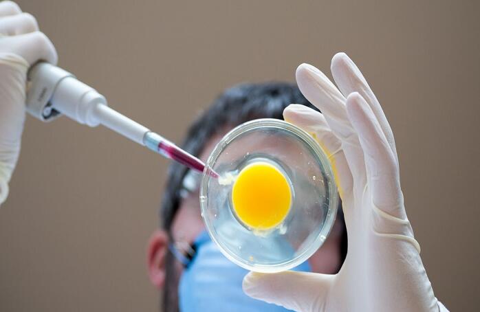 云南試管費用 2023云南省可以做供精的醫院有哪些？內附成功率及費用一覽 ‘懷孕30周b超數據看男女’